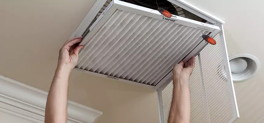 Our Insect Removal from Air Ducts Services in Fountain, CO