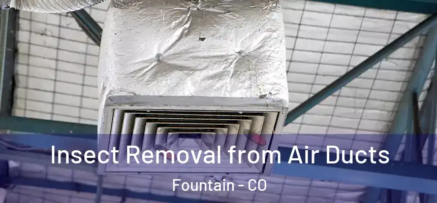  Insect Removal from Air Ducts Fountain - CO