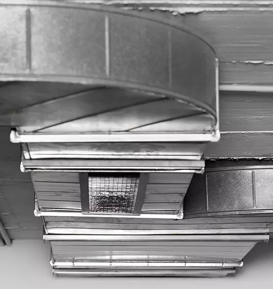 Professional Air Duct Pet Hair Removal in Fountain, CO