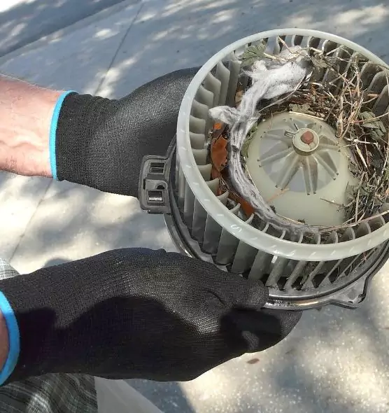 About Air Duct Rat Removal in Fountain, CO