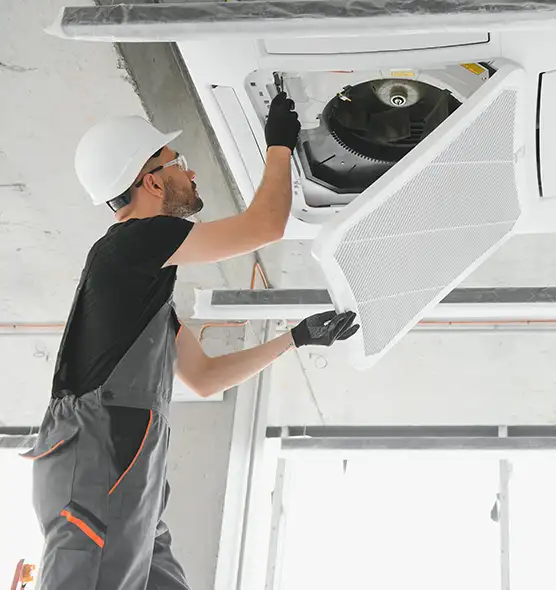 About Air Duct Rodent Removal in Fountain, CO