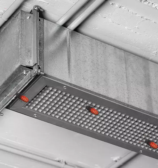 Affordable Insect Removal from Air Ducts in Fountain, CO