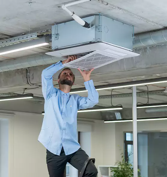 Advanced Rodent Droppings In Vents in Fountain, CO