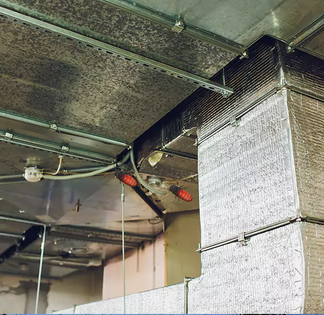 Why Homeowners & Businesses Trust Us in Fountain, CO?