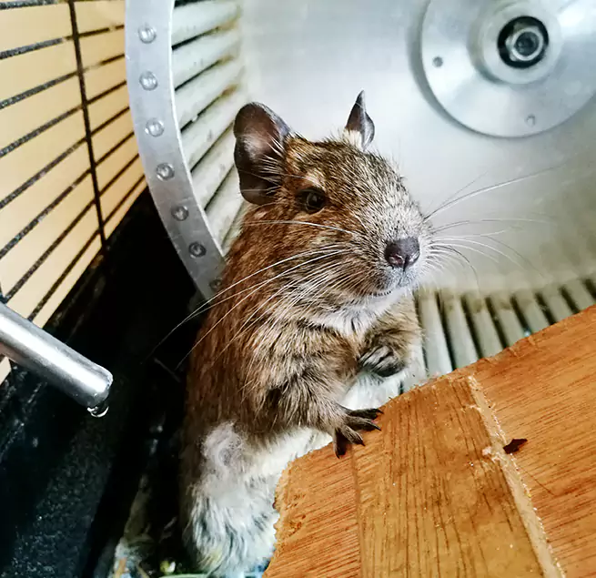 Why Homeowners & Businesses Trust Us Fountain, CO