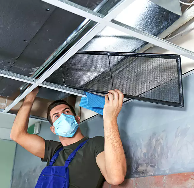 Why Homeowners Businesses Trust Us in Fountain, CO