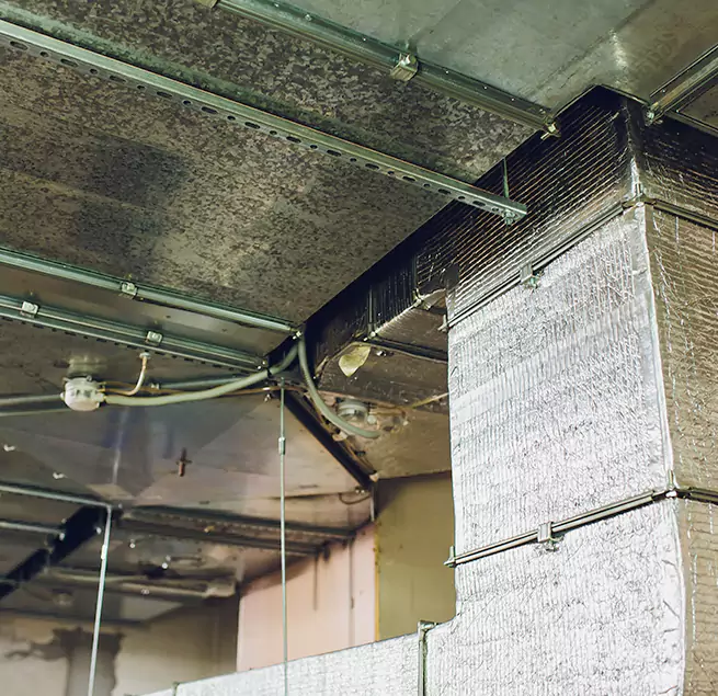 Why Homeowners & Businesses Trust Us in Fountain, CO?